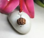 6 Mukhi Rudraksha