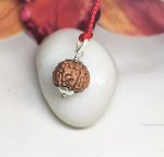 6 Mukhi Rudraksha