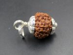 7 Mukhi Rudraksha