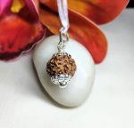 7 Mukhi Rudraksha