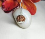 7 Mukhi Rudraksha