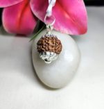 7 Mukhi Rudraksha