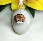 7 Mukhi Rudraksha