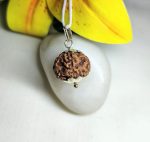 7 Mukhi Rudraksha