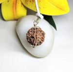 7 Mukhi Rudraksha