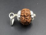 8 Mukhi Rudraksha