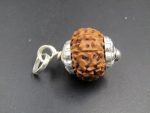 8 Mukhi Rudraksha