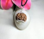 8 Mukhi Rudraksha