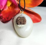 8 Mukhi Rudraksha