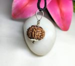8 Mukhi Rudraksha