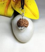8 Mukhi Rudraksha