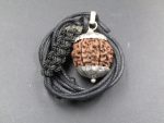 8 Mukhi lab Rudraksha