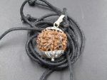 8 Mukhi lab Rudraksha