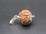 8 Mukhi lab Rudraksha