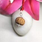 8 Mukhi Rudraksha