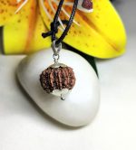9 Mukhi Rudraksha