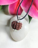 9 Mukhi Rudraksha