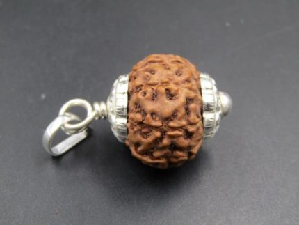 9 Mukhi Rudraksha