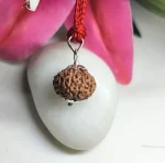 9 Mukhi Rudraksha