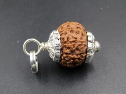 9 Mukhi Rudraksha