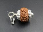 9 Mukhi Rudraksha