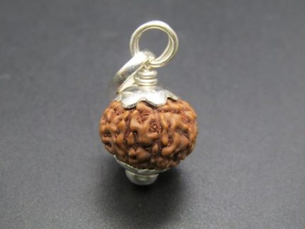 9 Mukhi Rudraksha