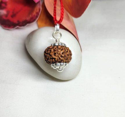 9 Mukhi Rudraksha