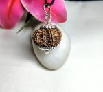 9 Mukhi Rudraksha