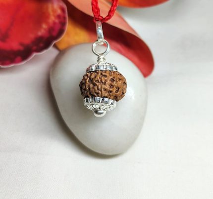 9 Mukhi Rudraksha