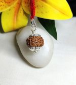9 Mukhi Rudraksha