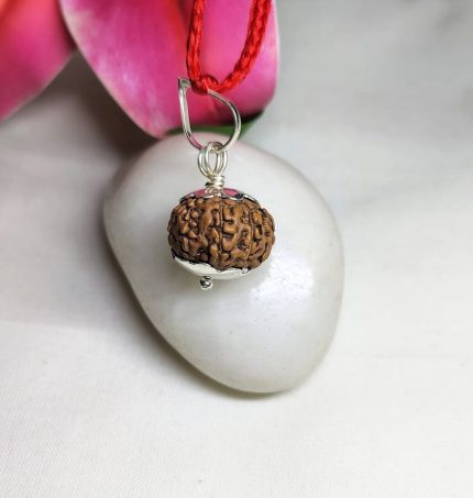 9 Mukhi Rudraksha