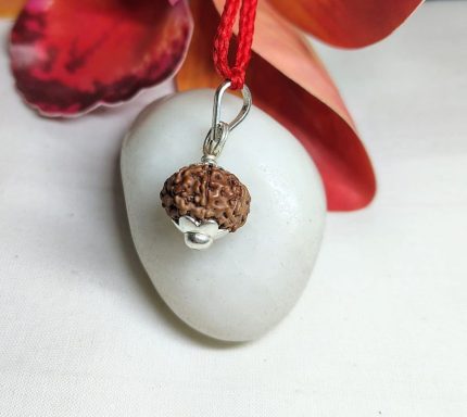9 Mukhi Rudraksha