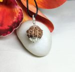 9 Mukhi Rudraksha