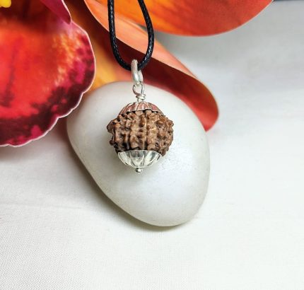 9 Mukhi Rudraksha
