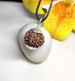 9 Mukhi Rudraksha