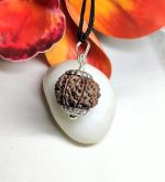 9 Mukhi Rudraksha