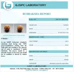 9 Mukhi lab Certificate