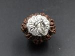 9 Mukhi lab Rudraksha