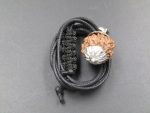 9 Mukhi lab Rudraksha