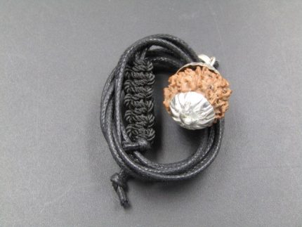 9 Mukhi lab Rudraksha