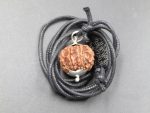 9 Mukhi lab Rudraksha