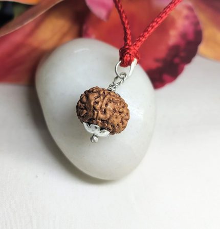 9 Mukhi Rudraksha
