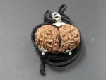 10-Mukhi-Gaurishankar