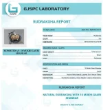 10 Mukhi lab Gaurishankar Certificate