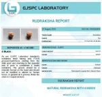 4 Mukhi lab Certificate