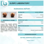 6 Mukhi lab Certificate