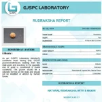 8 Mukhi lab Certificate