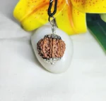 9 Mukhi Rudraksha