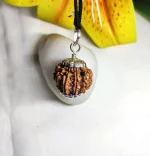 9 Mukhi Rudraksha