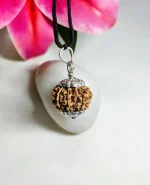 9 Mukhi Rudraksha